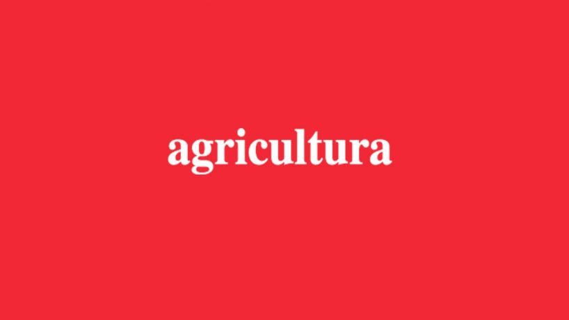 Sebastián Norris, Abogado de Araya & Cía, experto en Comercio Internacional, sobre congestión portuaria: “Lo primero es asesorarse”
