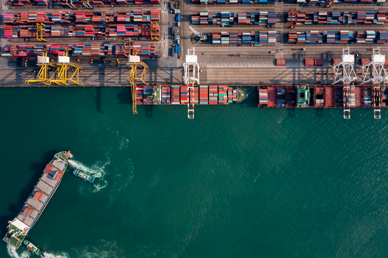 Exportación de fruta fresca por medio de Brokers