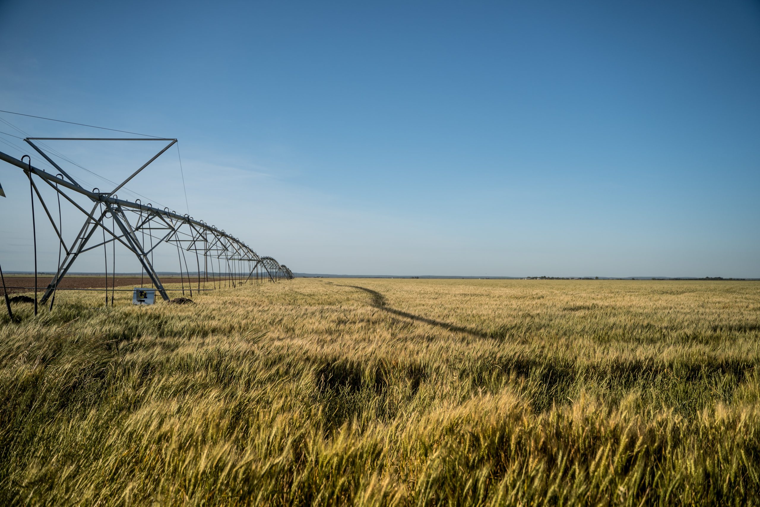 Ley de Delitos Económicos en la Agroindustria:  ¿Quién dijo que eran sólo económicos?