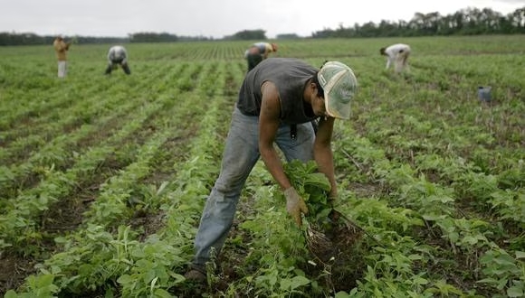 La Nueva Ley de Delitos Económicos: Un Cambio Paradigmático en el Panorama Laboral y Empresarial