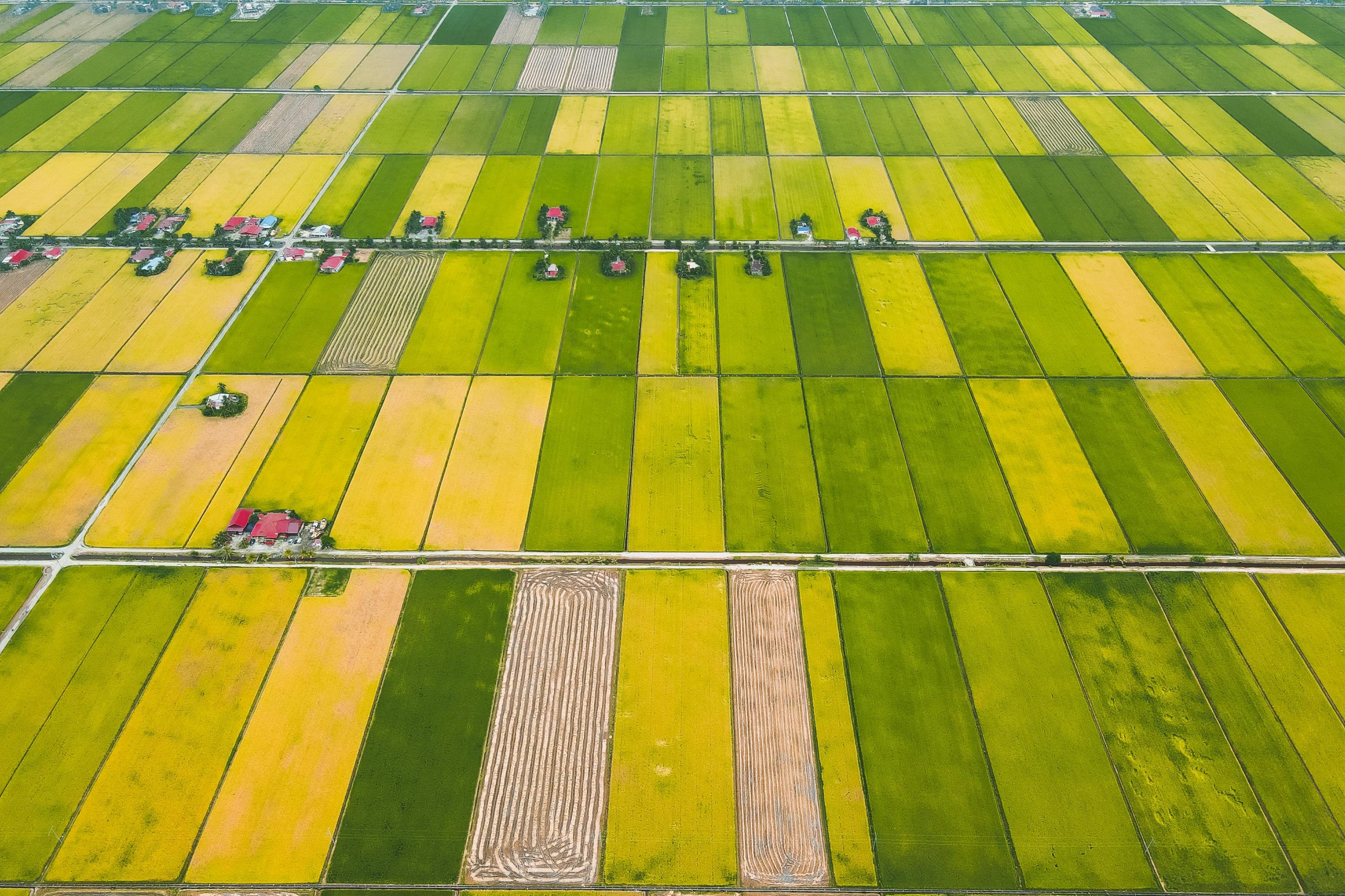 ¿Qué significa el reavalúo de predios agrícolas para los productores?