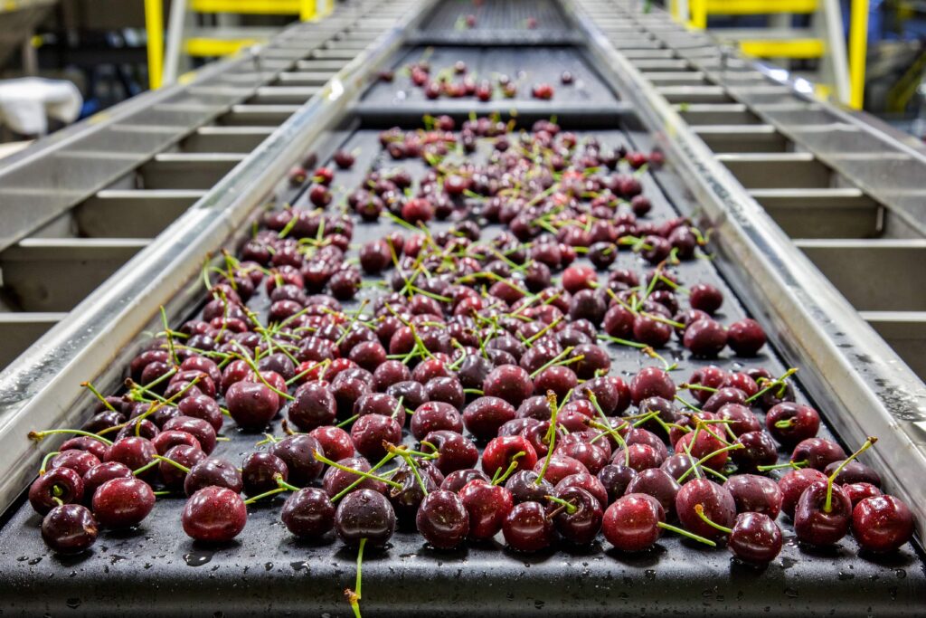 Registro de marca en China: Protegiendo el sabor de lo nuestro