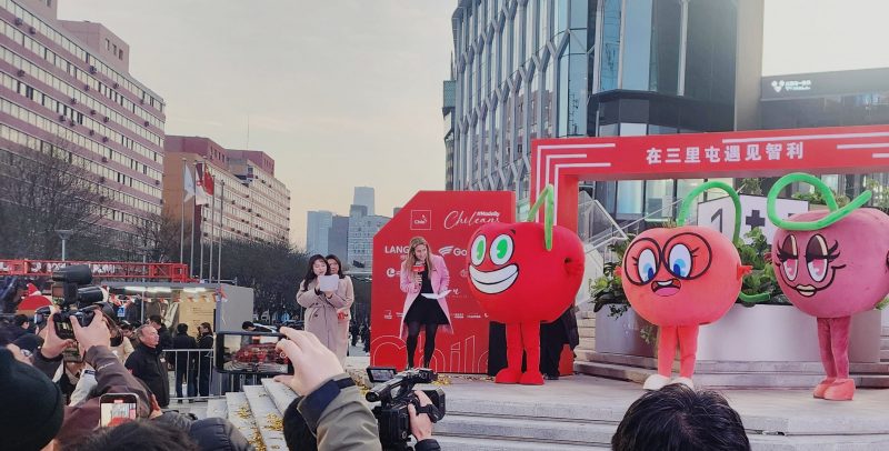 ¿Tu empresa quiere usar mascotas en China? Estas son las claves legales para no perder la marca