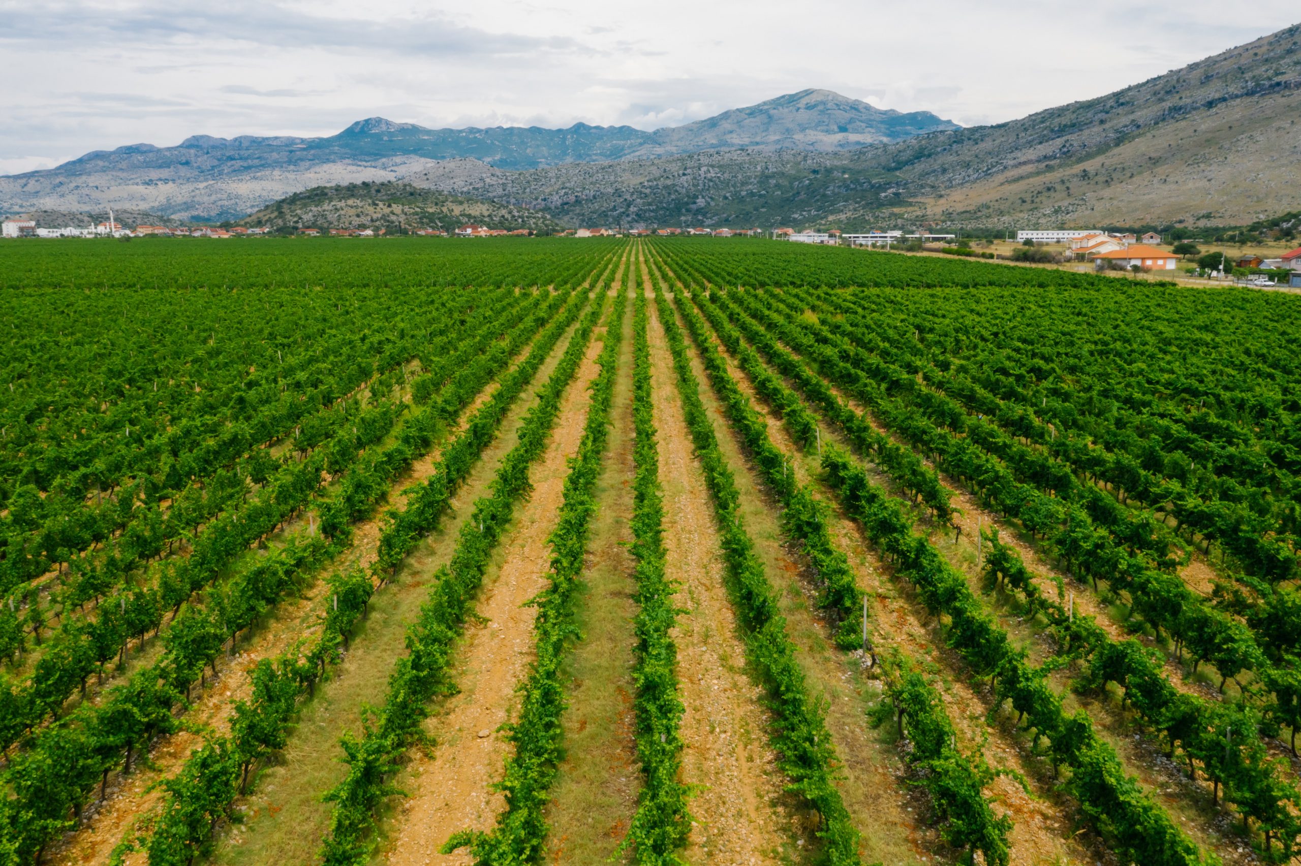 Aranceles, fruta fresca y credibilidad internacional