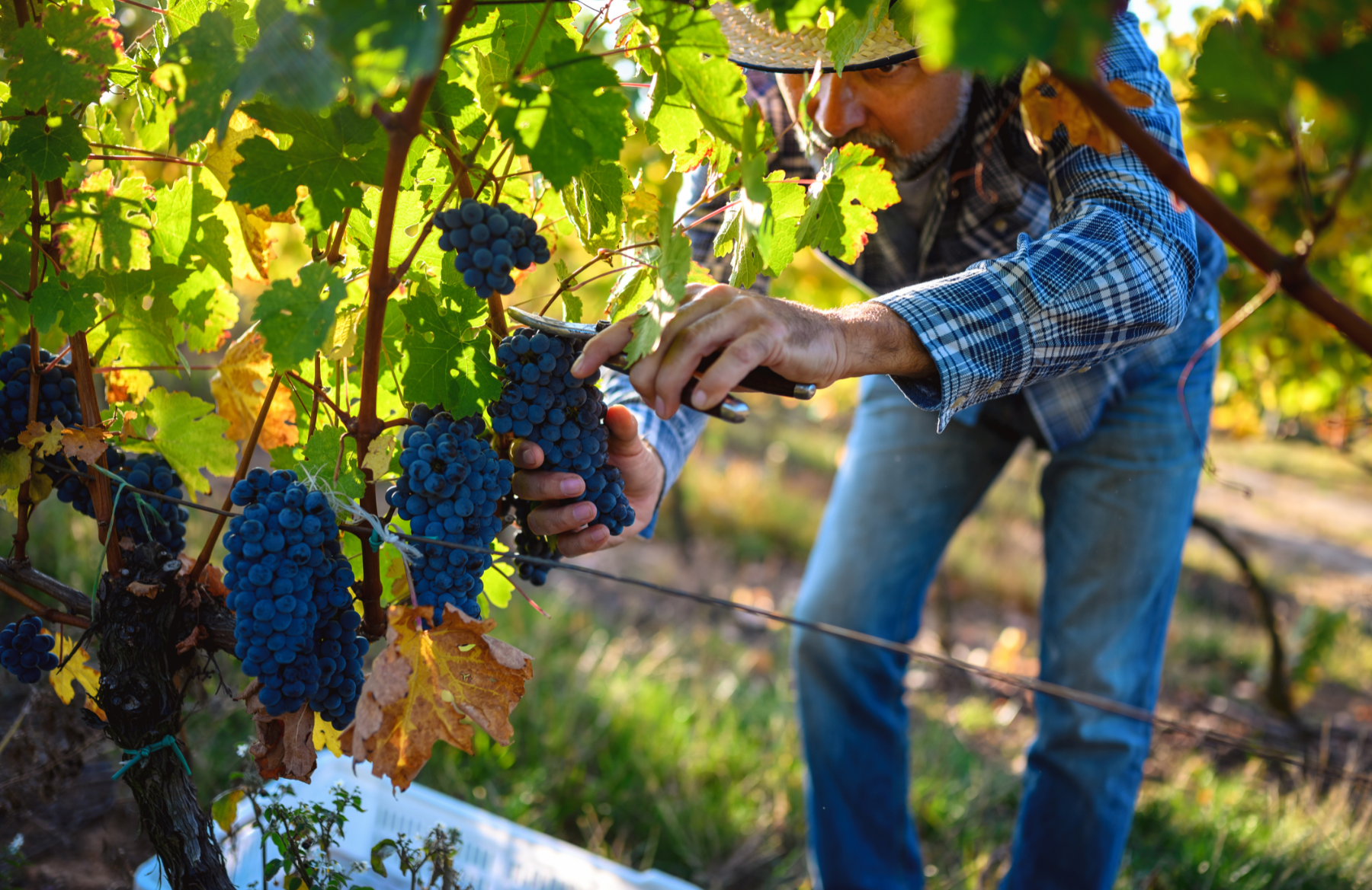 Abril marca un nuevo hito en la implementación de la Ley de 40 horas